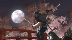 Ninja Gaiden II