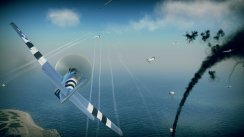 Birds of Steel