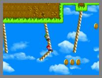 New Super Mario Bros.