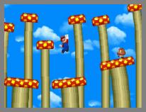New Super Mario Bros.