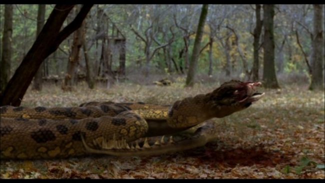 Anaconda 4: Trail of Blood - Gamereactor Sverige