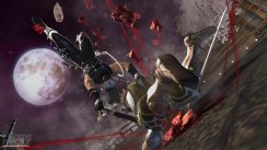 Ninja Gaiden II