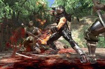 Ninja Gaiden II