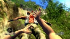 Far Cry Instincts