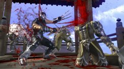 Ninja Gaiden II