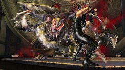 Ninja Gaiden II