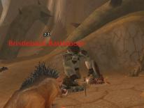 World of Warcraft