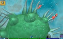 Spore