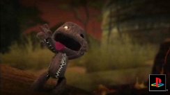 Little Big Planet