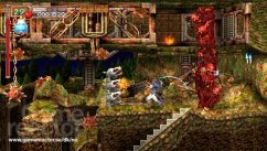 Castlevania: The Dracula X Chronicles
