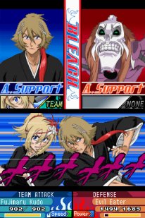 Bleach: The 3rd Phantom
