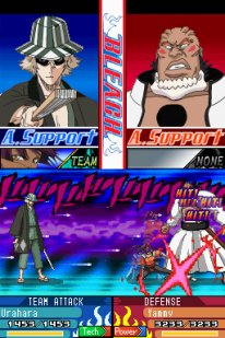 Bleach: The 3rd Phantom