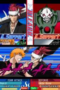 Bleach: The 3rd Phantom