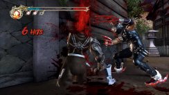 Ninja Gaiden II