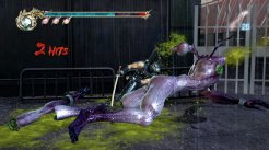 Ninja Gaiden II
