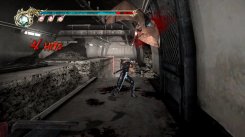 Ninja Gaiden II