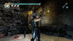 Ninja Gaiden II