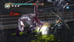 Ninja Gaiden II