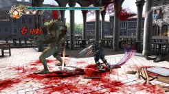 Ninja Gaiden II