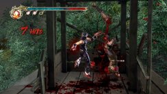 Ninja Gaiden II