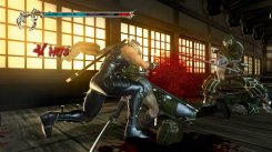 Ninja Gaiden II