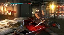 Ninja Gaiden II