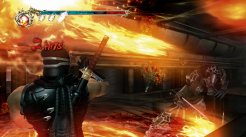 Ninja Gaiden II