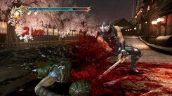 Ninja Gaiden II