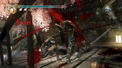 Ninja Gaiden II