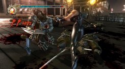 Ninja Gaiden II