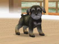 Nintendogs