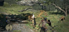 Dragon's Dogma