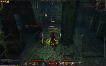 Age of Conan: Hyborian Adventures