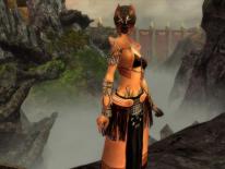 Guild Wars Factions
