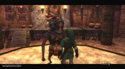 The Legend of Zelda: Twilight Princess