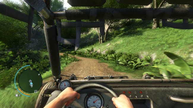 Far Cry 3