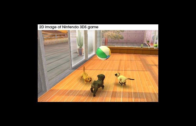 Nintendogs + Cats