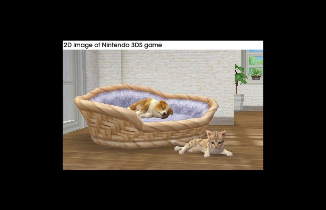 Nintendogs + Cats