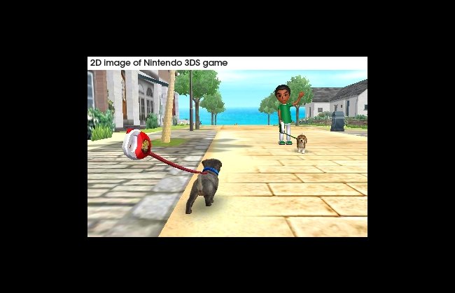 Nintendogs + Cats
