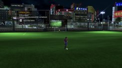 FIFA 09