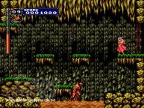 Castlevania: The Dracula X Chronicles