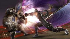 Ninja Gaiden II