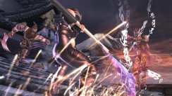 Ninja Gaiden II
