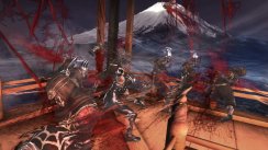 Ninja Gaiden II