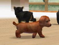 Nintendogs