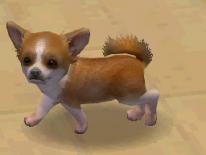 Nintendogs