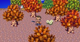 Animal Crossing: Lets go to the City