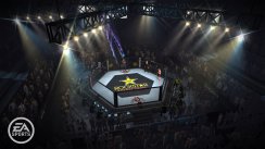 Nya bilder p� EA Sports MMA