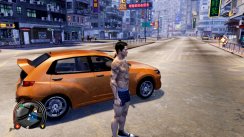 Sleeping Dogs
