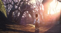 Fable II